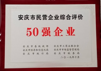 安庆市民营50强企业